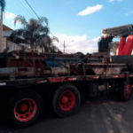 Antes - Orlanda 3300 - 2